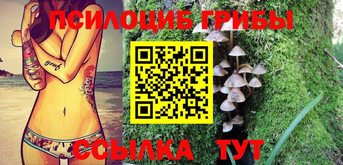 Галлюциногенные грибы прущие грибы  Вход с VPN  хочу   Псилоцибиновые грибы GOLDEN TEACHER  Кемерово 